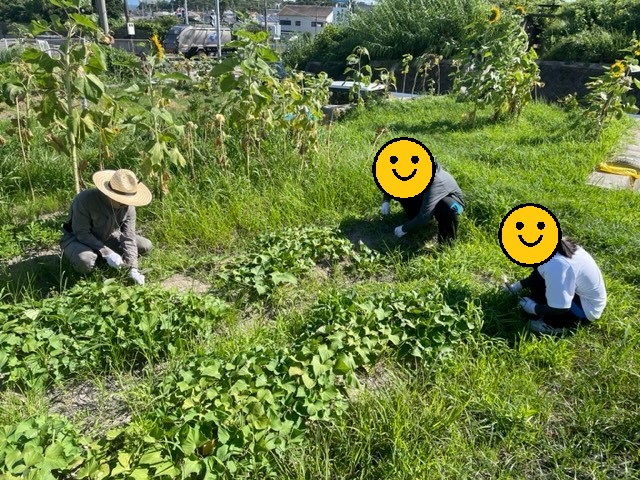 夏休みの「自己探究」3