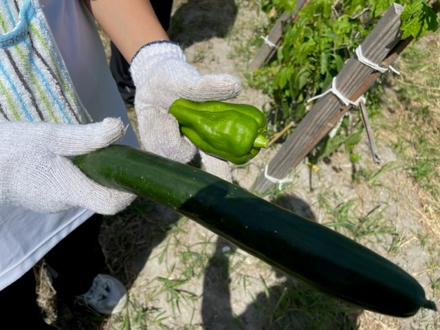 夏休みの「自己探究」4