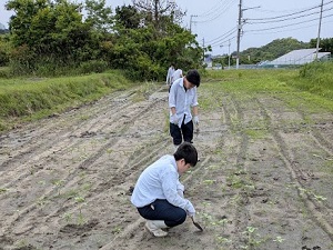 フィールド授業の様子1