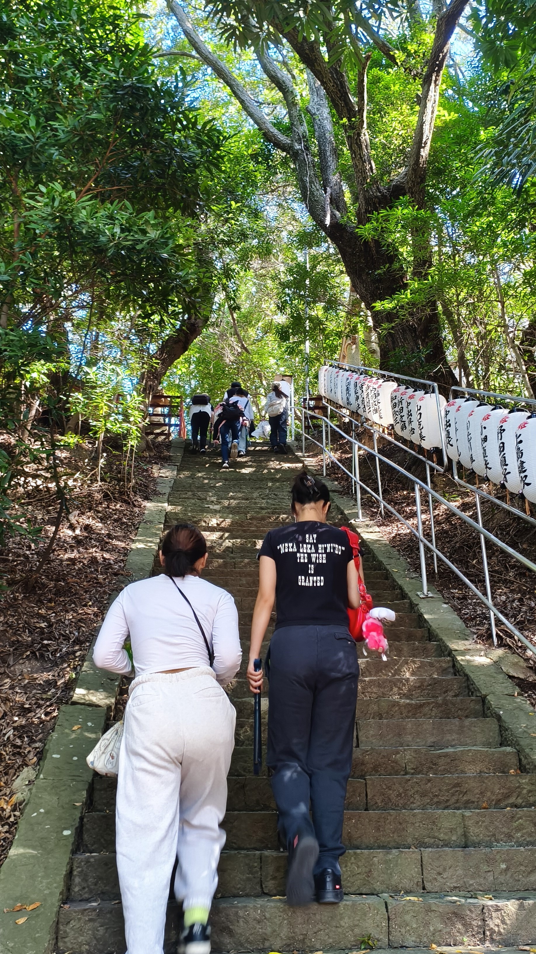 3年山海人プロジェクトの様子1