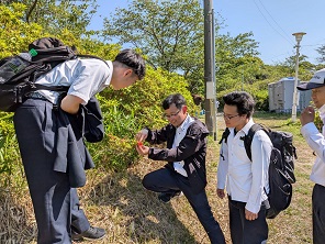 植物・昆虫観察の様子1