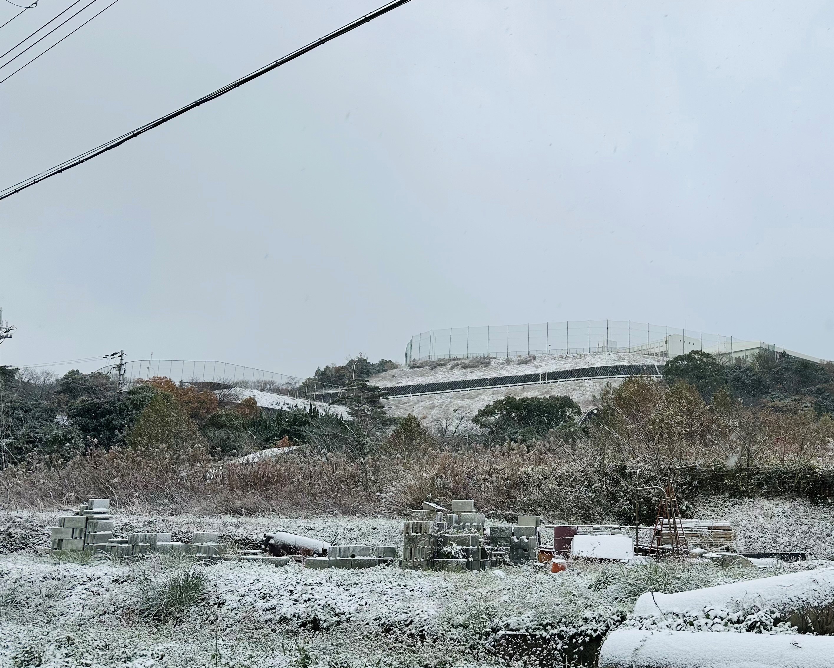 雪②