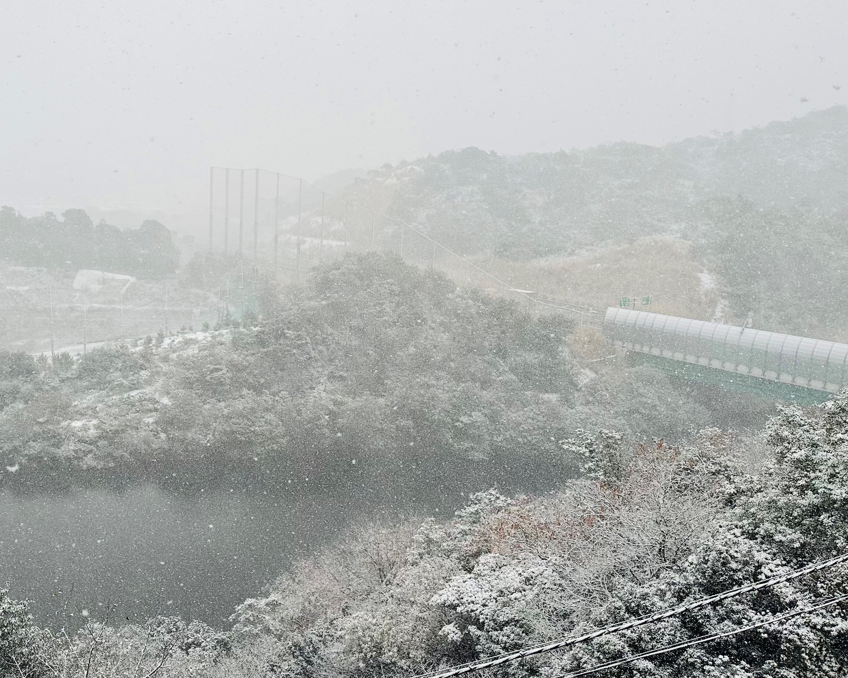 雪④