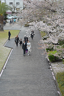 桜並木を通って入学