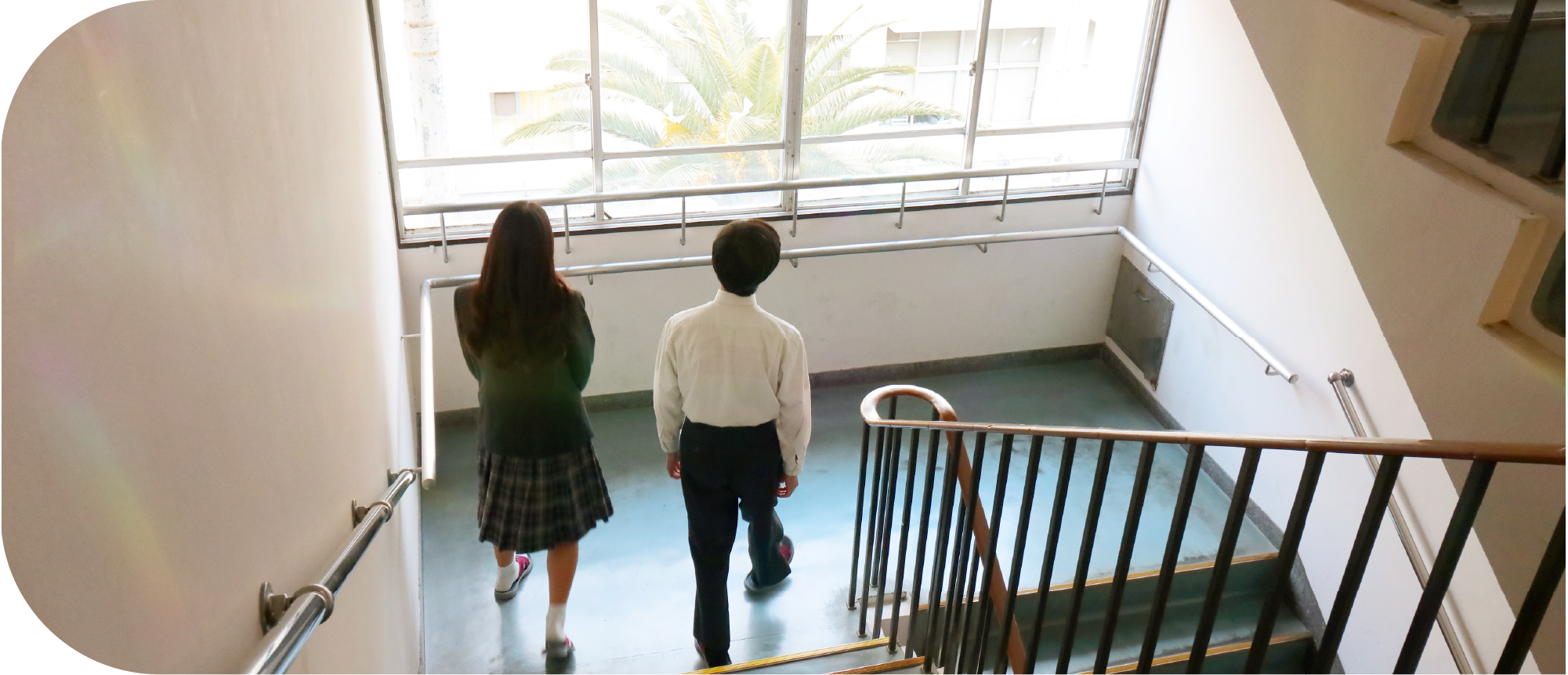 学校概要のイメージ