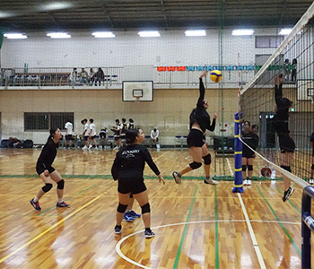 男女バレーボール部の活動写真