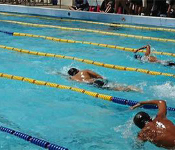 水泳部の活動写真