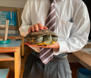 生物部の活動写真