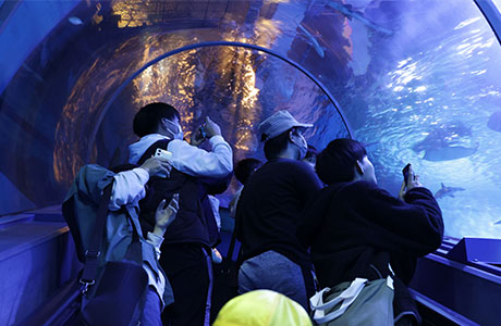 修学旅行の様子