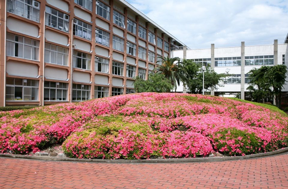 花園高校 大阪府 の偏差値 21年度最新版 みんなの高校情報