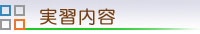 実習風景