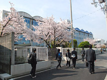 ４月の校門前