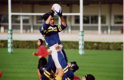 ���O�r�[�̌����B���C���A�E�g��