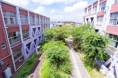 中庭