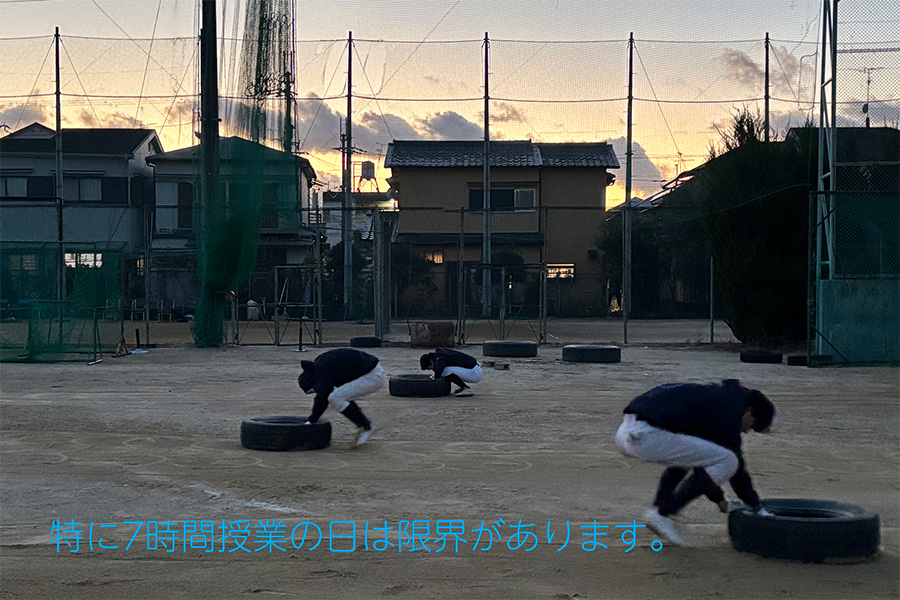 夜間の活動の様子