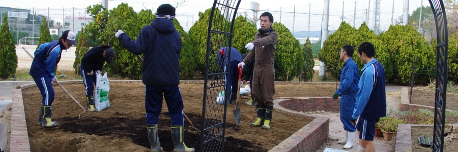 食とみどり科　「はばたきハーブ園」制作風景