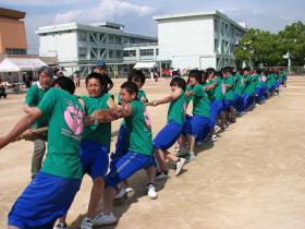 48回体育祭画像3